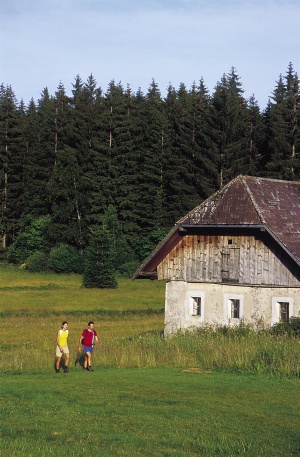 peší turistika okolo bad leonfeldenu