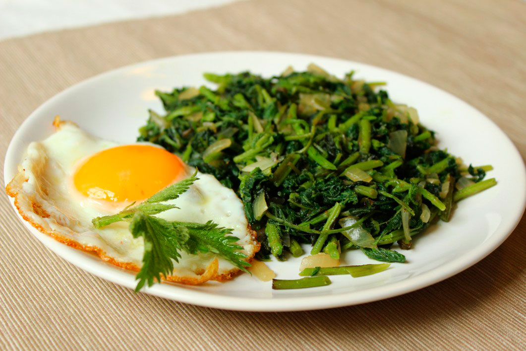 naturhost salat z kopriv s vejcem